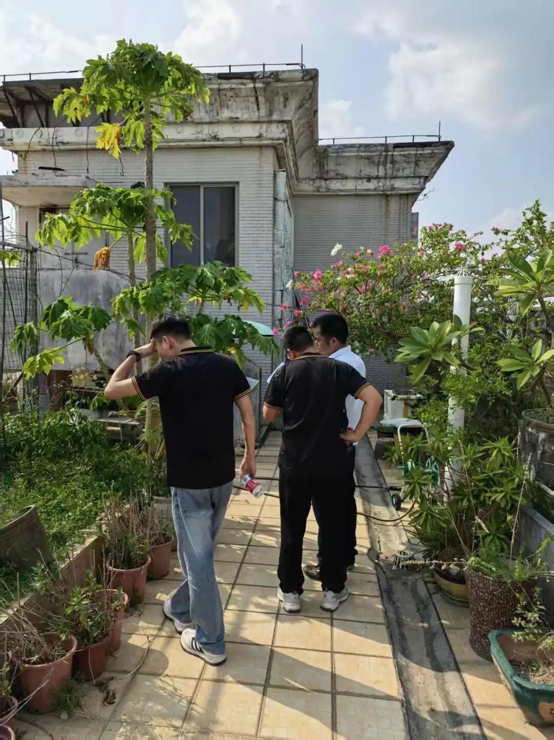 干货 | 屋顶防水怎么做?