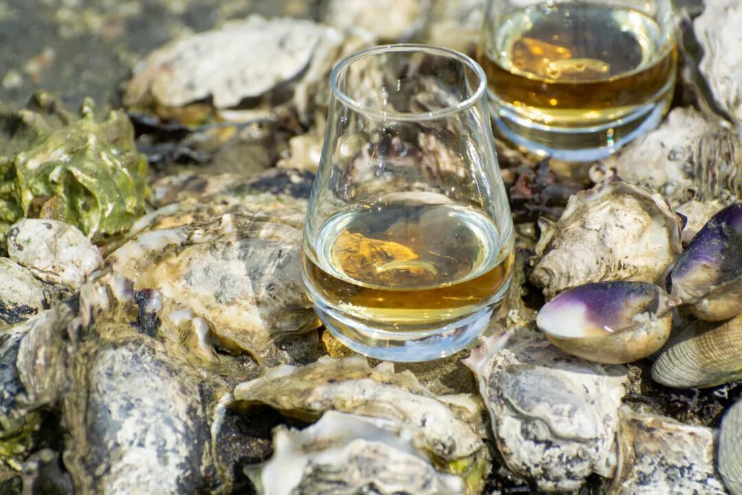 拉弗格精选(Laphroaig Select)威士忌,艾雷岛威士忌入门选择