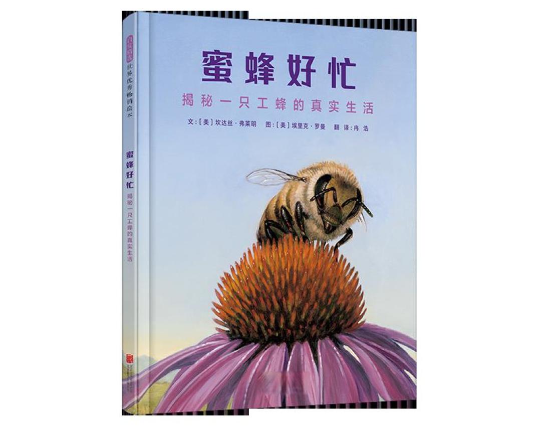 开年遇见精品套装书!寒假充电和新年礼物都有着落啦~