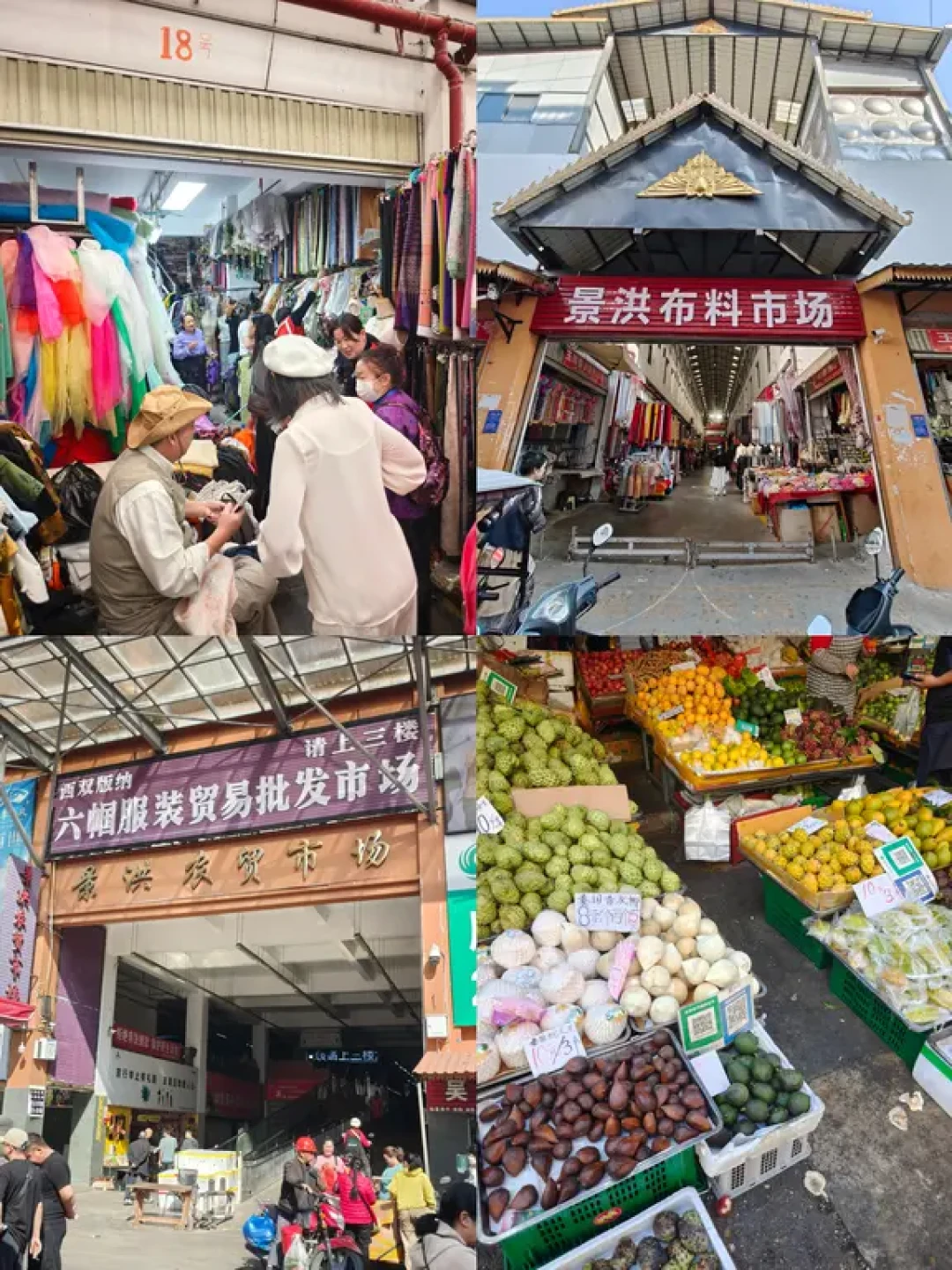 刚从西双版纳回来,我来说说大实话❗️