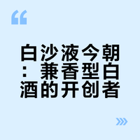 No.53每天认识一款酒|白沙液·今朝
