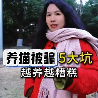 养猫被骗5大坑，越养越糟糕 养猫被骗5大坑，越养越糟糕#新手养猫#猫粮#猫咪主食罐
