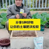 有机种植改土5种好物硬货 板结土变肥土，种菜疯长不黄叶！ 有机种植改土必看！5种好物盘活你家板结贫瘠土，赶紧记下来去改良土壤！ #种植小技巧 #农业 #花卉绿植 #在家种菜 #农家肥