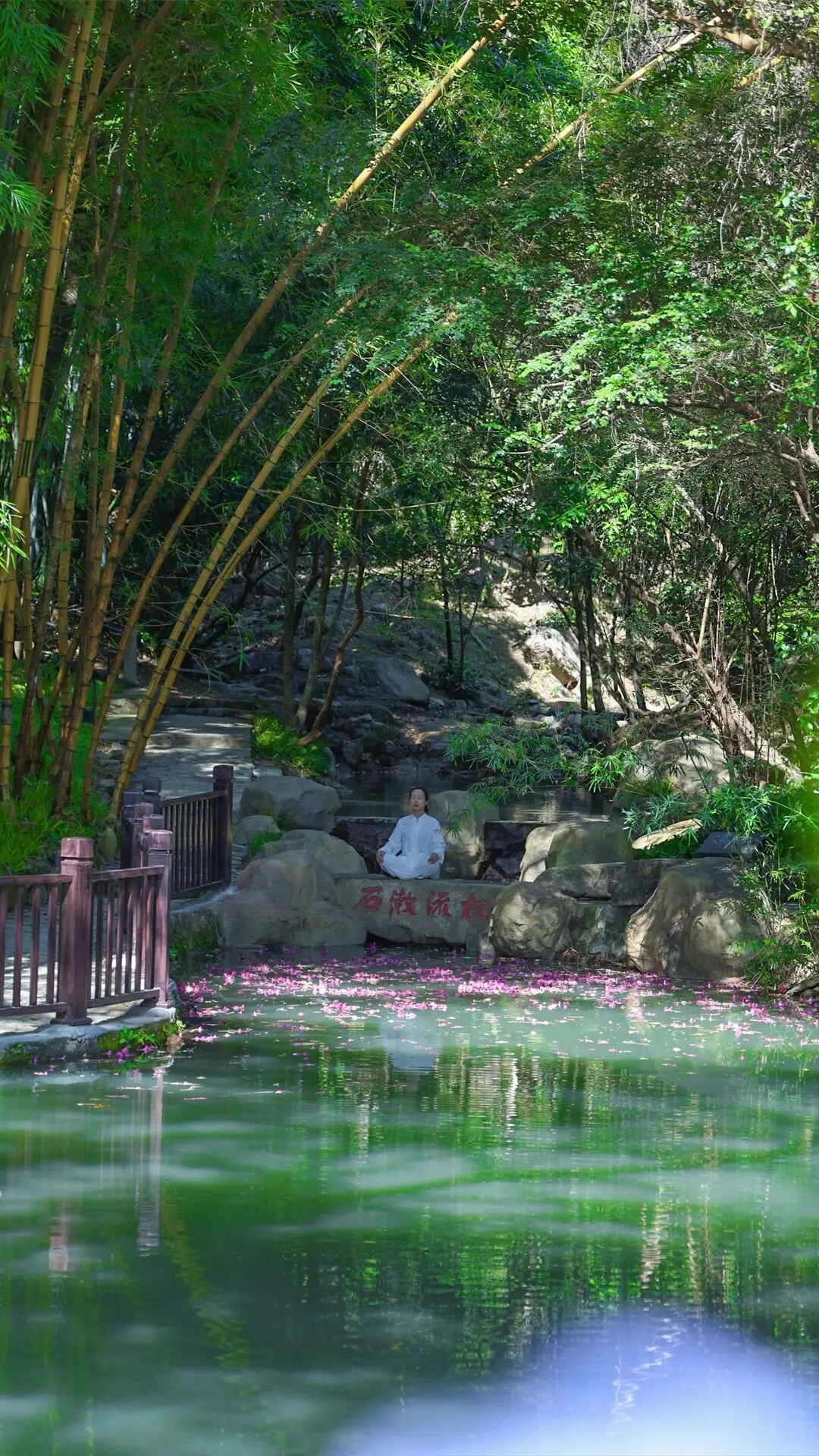 广东温泉宾馆这座房子藏在竹林里🍃