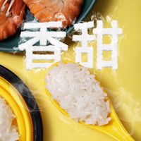 150g五常大米稻花香2号实测！出米率57%，这才是好米的底气！#五常大米原产地 #五常大米出米率 #稻花香2号大米