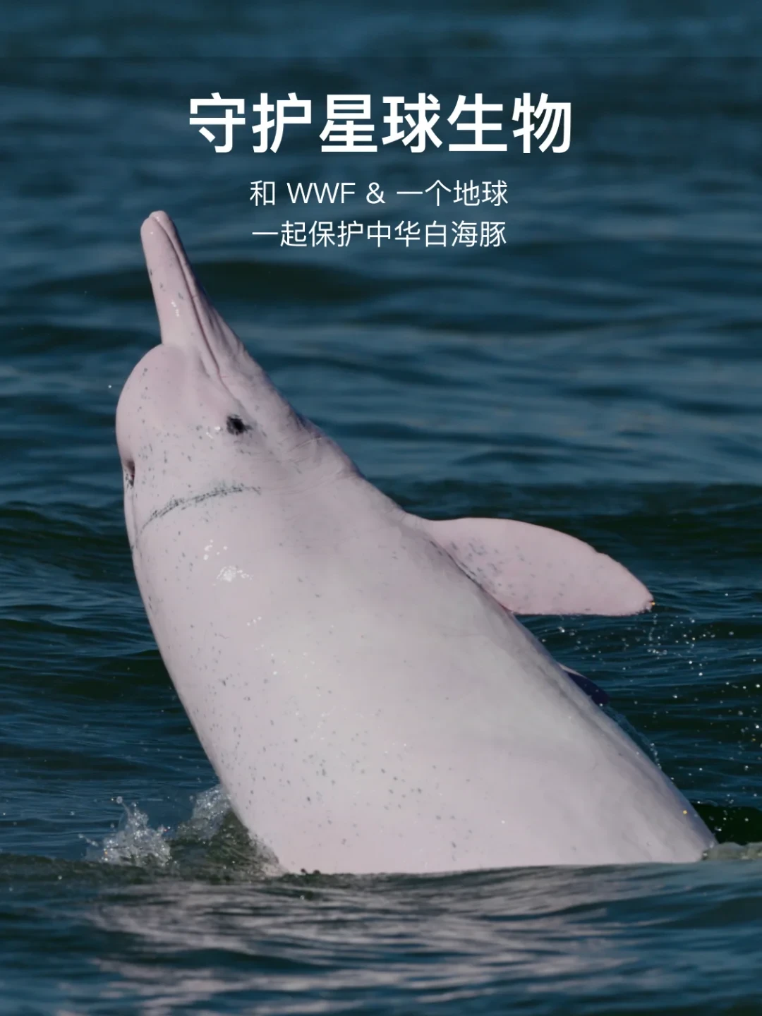 2 3 4 号星球守护任务完成