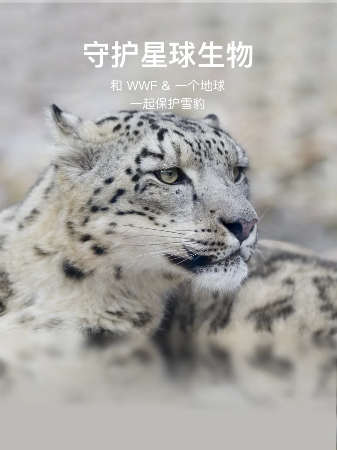 2 3 4 号星球守护任务完成