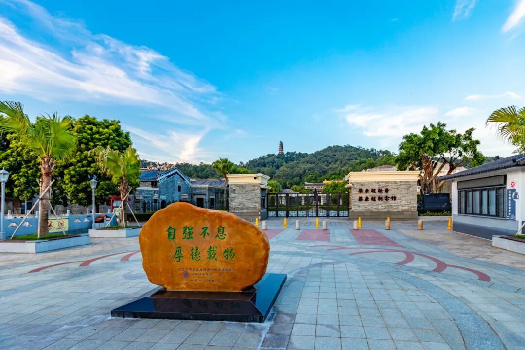 广东摄影目的地 | “小鸟天堂” 江门新会,领略独特的岭南魅力