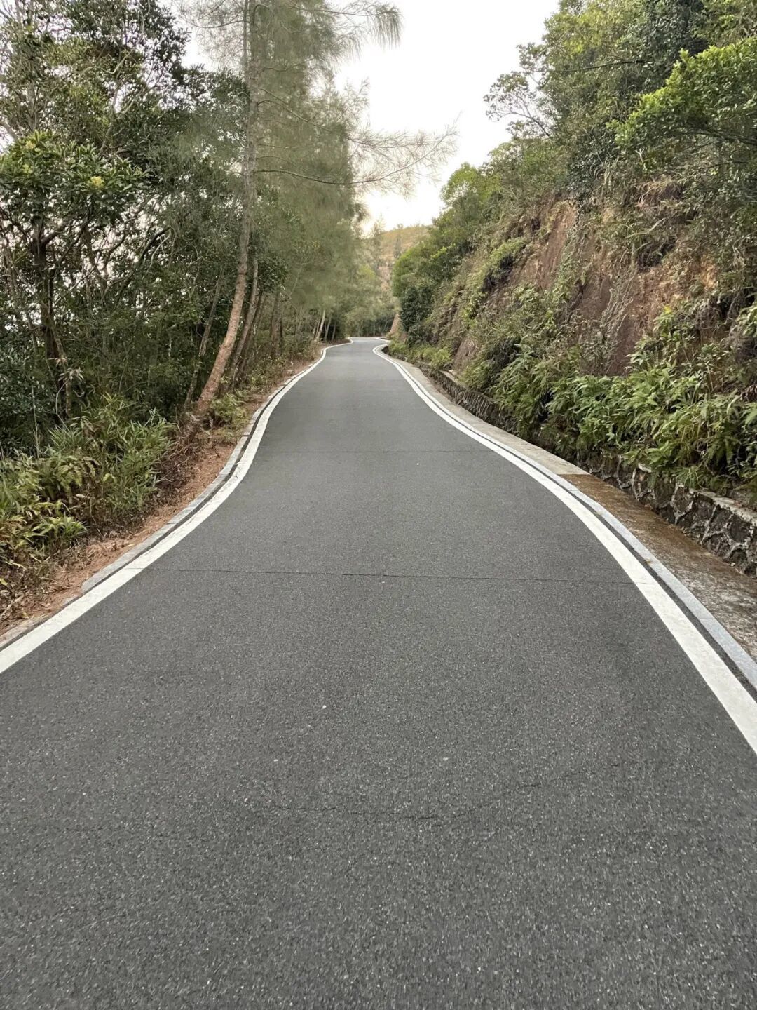 深圳远足三径三线・马峦山环线:40公里,8小时埋头赶路
