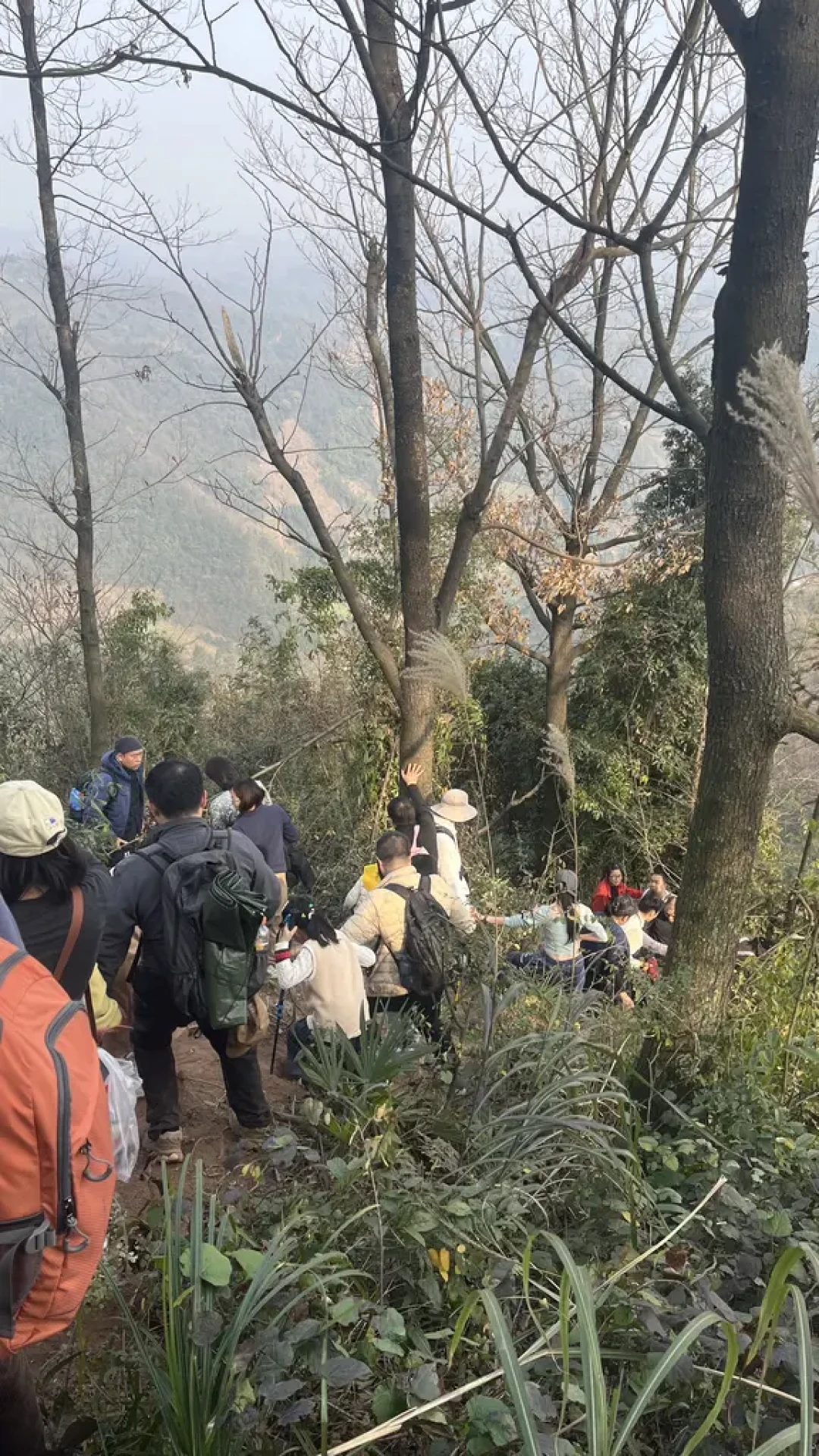 大邑雁鹅村青梅徒步听劝攻略