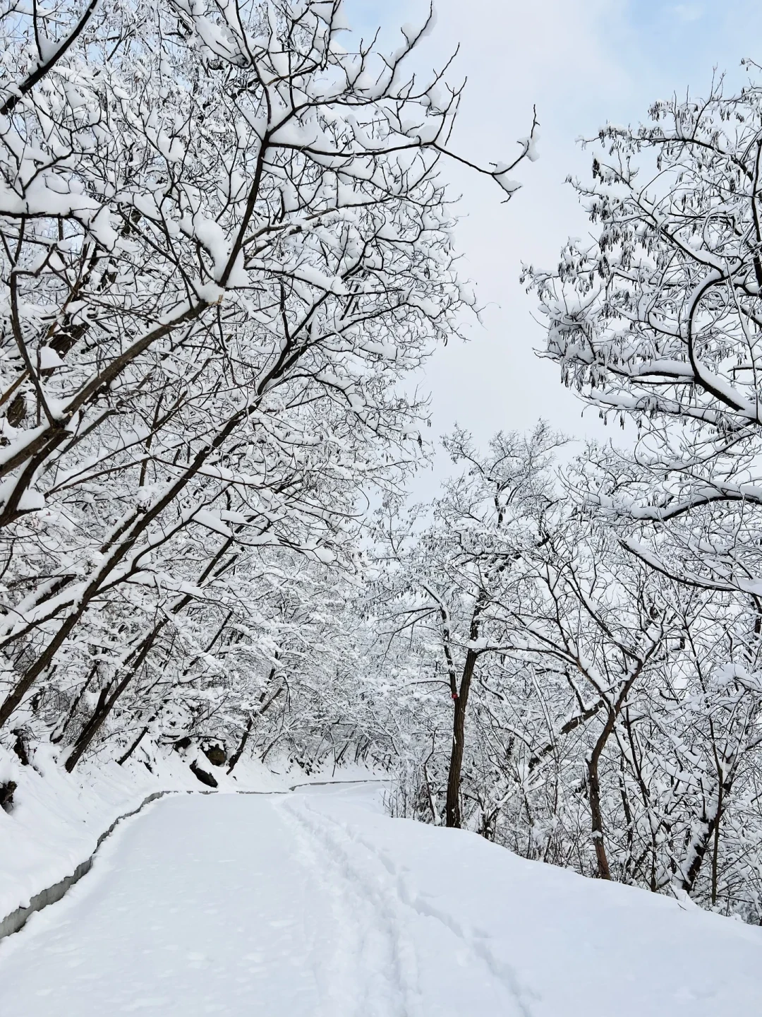 1.18实拍❗北京雪后雾淞雪景❄地铁直达