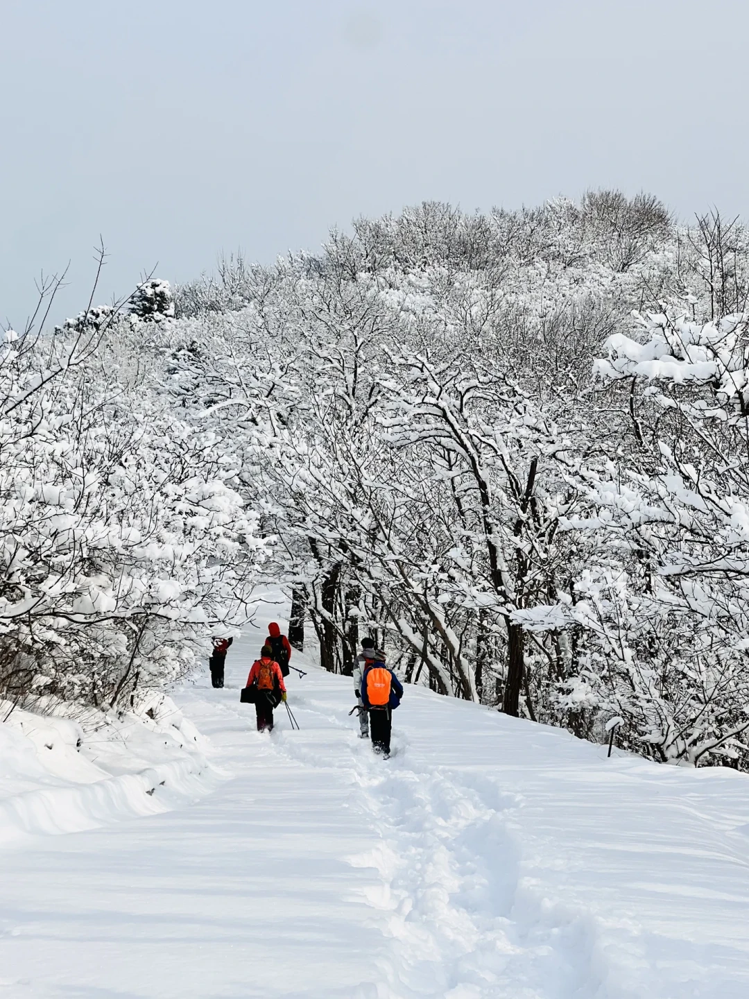 1.18实拍❗北京雪后雾淞雪景❄地铁直达