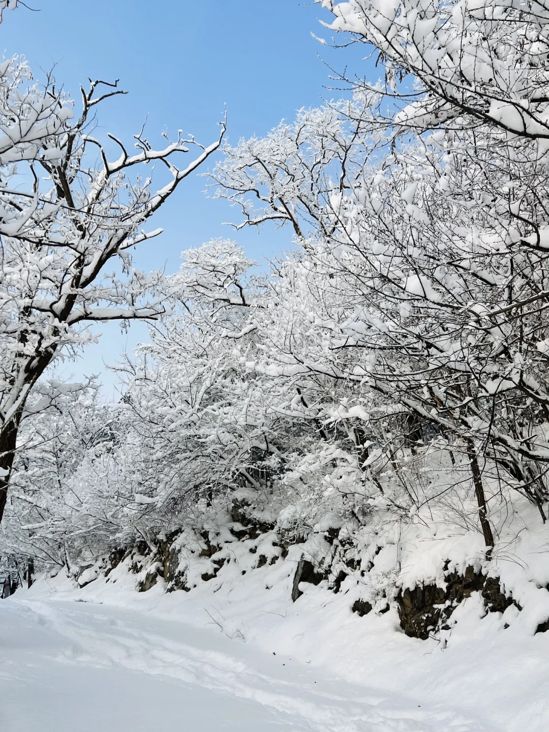 1.18实拍❗北京雪后雾淞雪景❄地铁直达