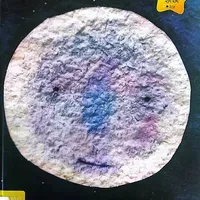 《月亮的味道》：一部关于合作与梦想的绘本