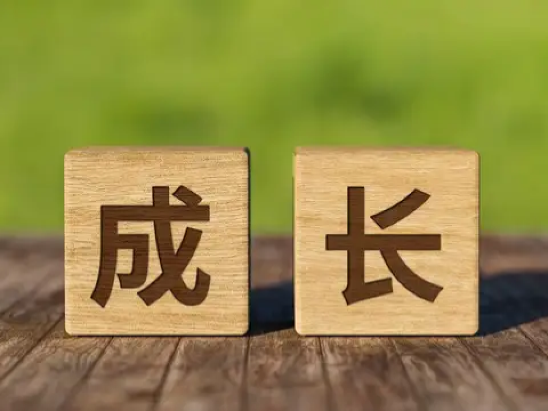 《终生成长》核心启示:决定人生上限的,从不是天赋而是思维模式