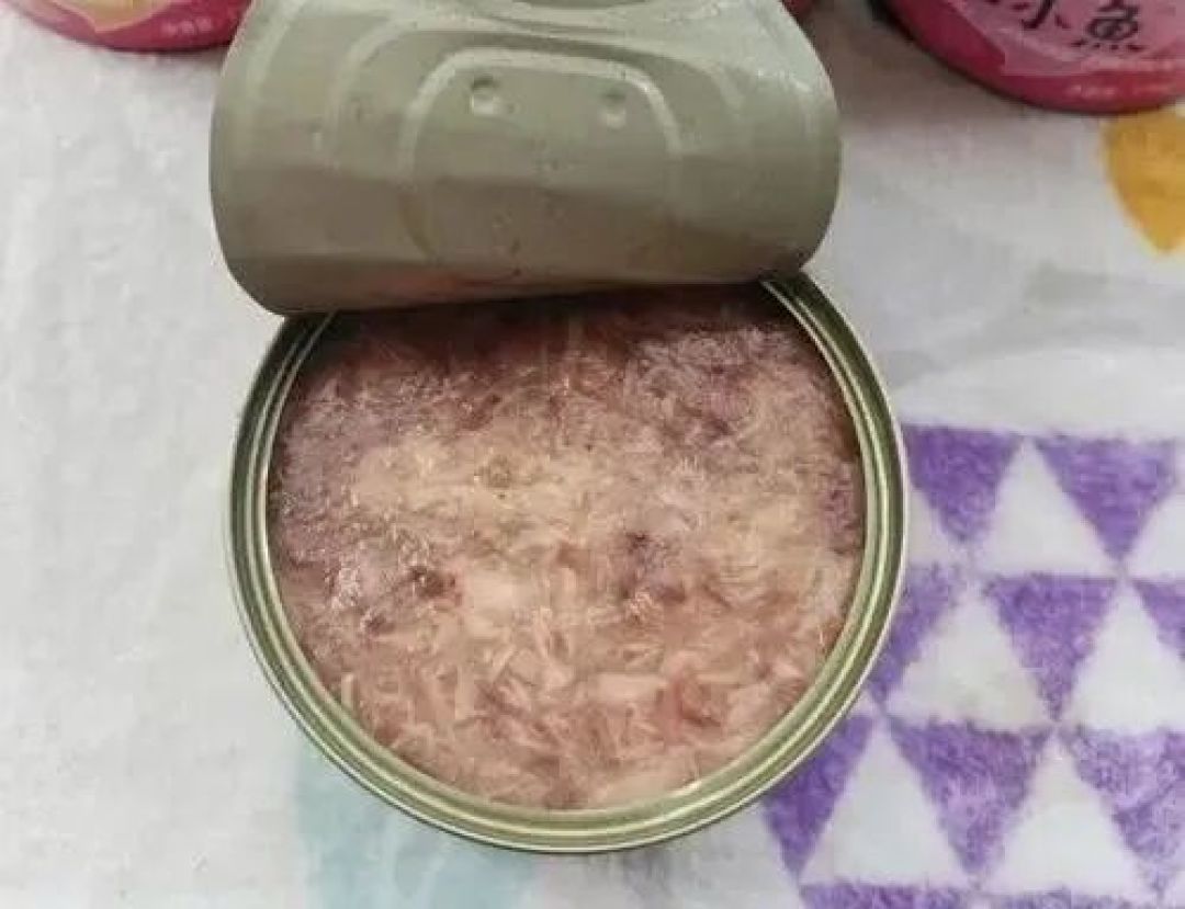 快加收藏！从夯到拉教你选择猫咪湿粮