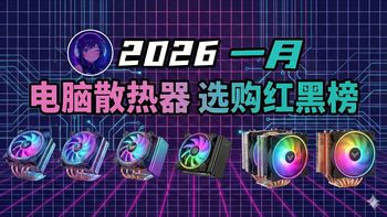 【电脑散热器】2026装机散热避坑指南！33款风扇/风冷散热器全网最全横评，从15元到300元谁是智商税？利民/九州风神/猫头鹰真实优缺点大起底，拒绝参数虚标！