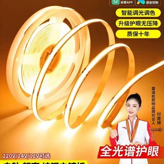 ✨家装封神单品！雷迪航COB灯带把氛围感拉满