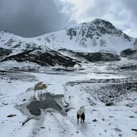 重装阿布吉措新线攻略+装备分享