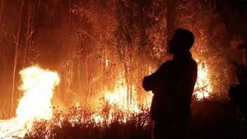 智利连日大火，春节前车厘子恐将大幅涨价 