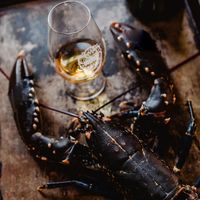 大寒进补时，举杯饮暖意：四款高能量威士忌的围炉指南