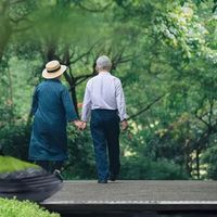 给身体“充值”细胞能量：服用NAD+补充剂的真实感受与效果