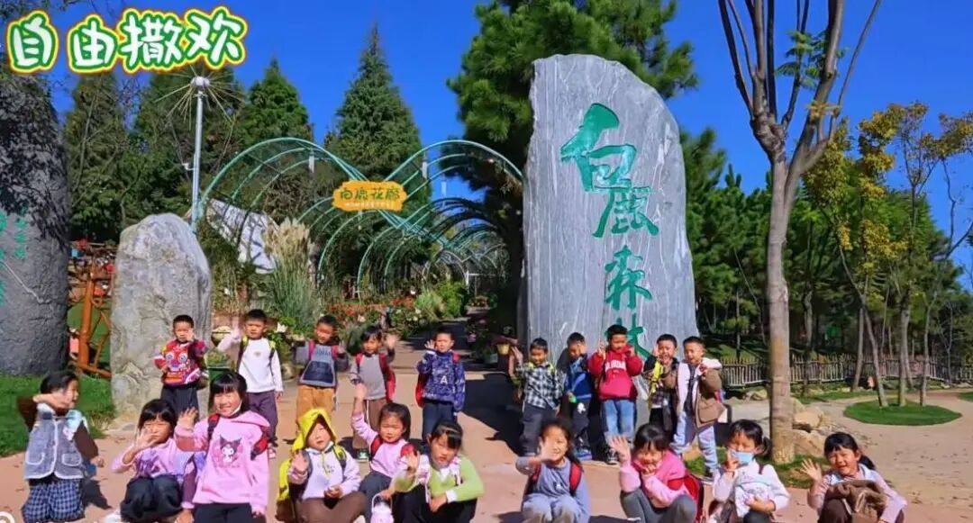 神兽出笼?!别急,这个宝藏遛娃地可以反复去