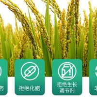 【年货节】都是东北产区的大米，五常大米究竟好在哪才这么受欢迎？