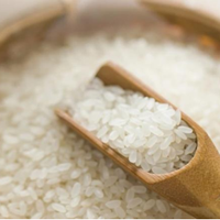 食品营养与安全系列（九）你每天吃的大米，真的选对了吗？