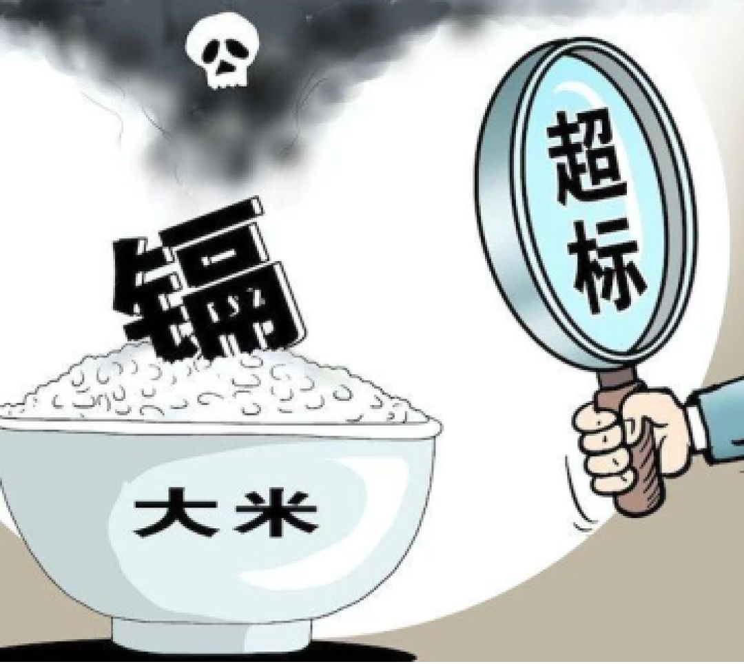 食品营养与安全系列(九)你每天吃的大米,真的选对了吗?