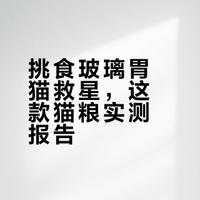 我为猫咪找到好猫粮啦！