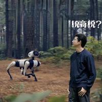 “机器狗真的不是智商税”？ Vbot超能机器狗有啥不一样？#大头BoBo #Vbot超能机器狗 #维他动力