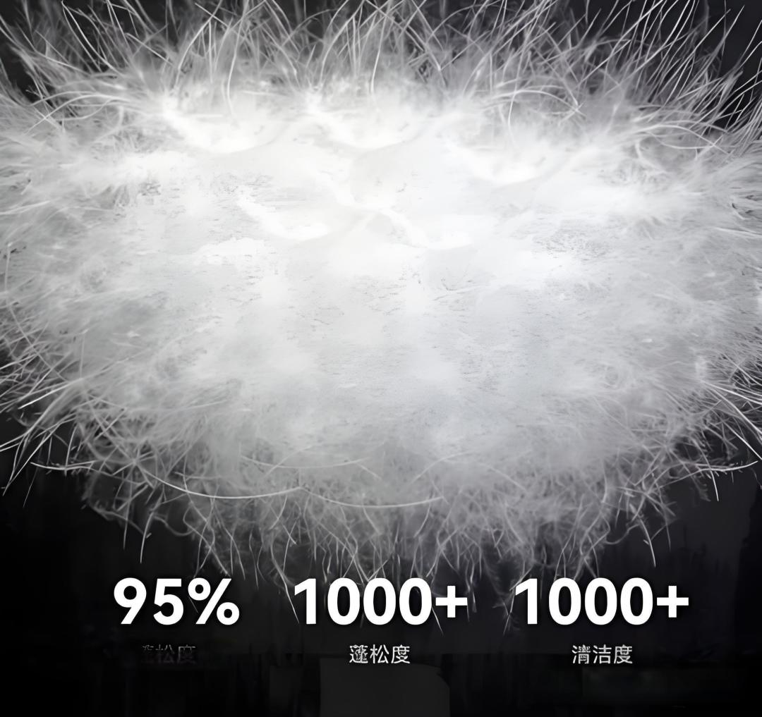 羽绒服品牌推荐|2026年公认高性价比且御寒力爆表的羽绒服top5推荐