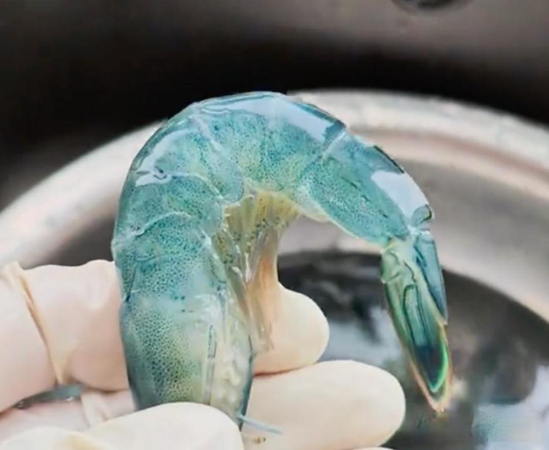 女子称网购盒马斑节虾煮熟渗出蓝色液体,客服称不影响食用,蓝色液体是怎么来的?食用对健康有影响吗?
