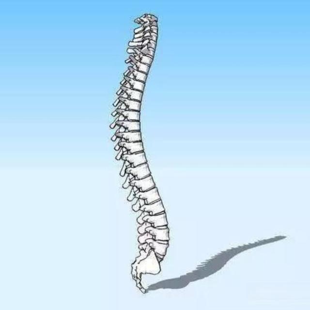 什么样的书包是符合儿童生长发育人体工学的？小学生书包绝不能瞎选！孩子的脊柱健康，从一个好书包开始（内含优质护脊书包GMT for Kids-light pro星际黑分享）