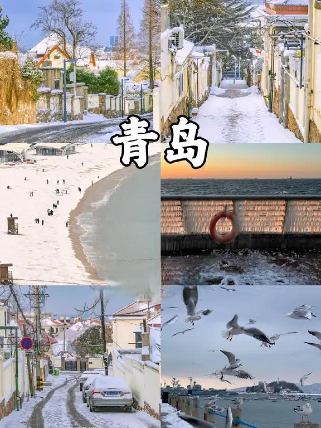 ❄️一篇讲清楚山东F4冬季赏雪旅游❗️码住