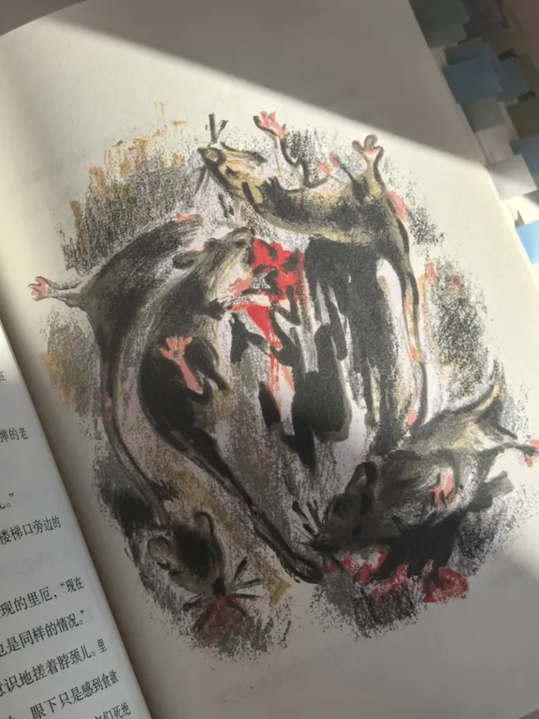 📚这本书让我爱上❤加缪❗️❗️❗️
