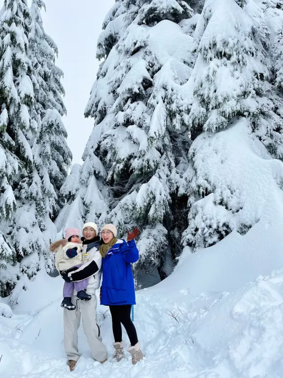 大温冬季低龄遛娃🛷Mt Seymour雪橇全攻略