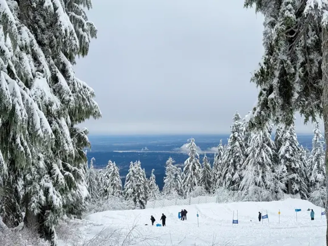 大温冬季低龄遛娃🛷Mt Seymour雪橇全攻略