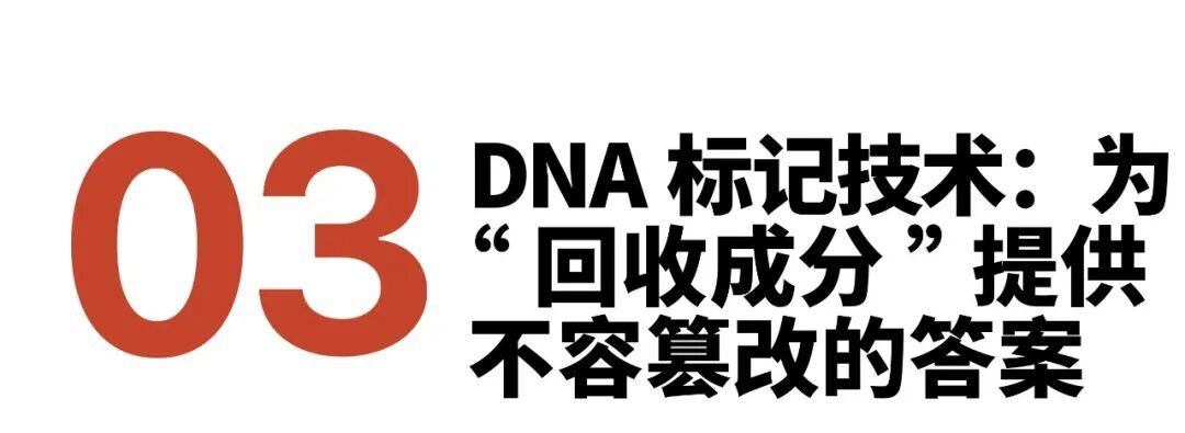 创新材料|年终回顾:时尚界 3 大热门材料的真相与迷思