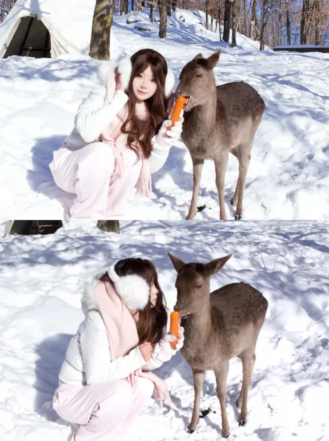 🇨🇦 Parc Omega喂小鹿•.🧺‧₊˚. 🦌₊
