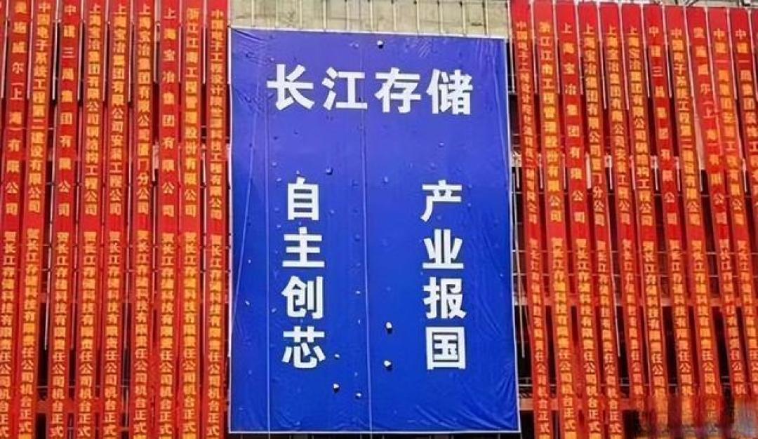 美国万万没想到,中国存储芯片,要100%使用国产设备了