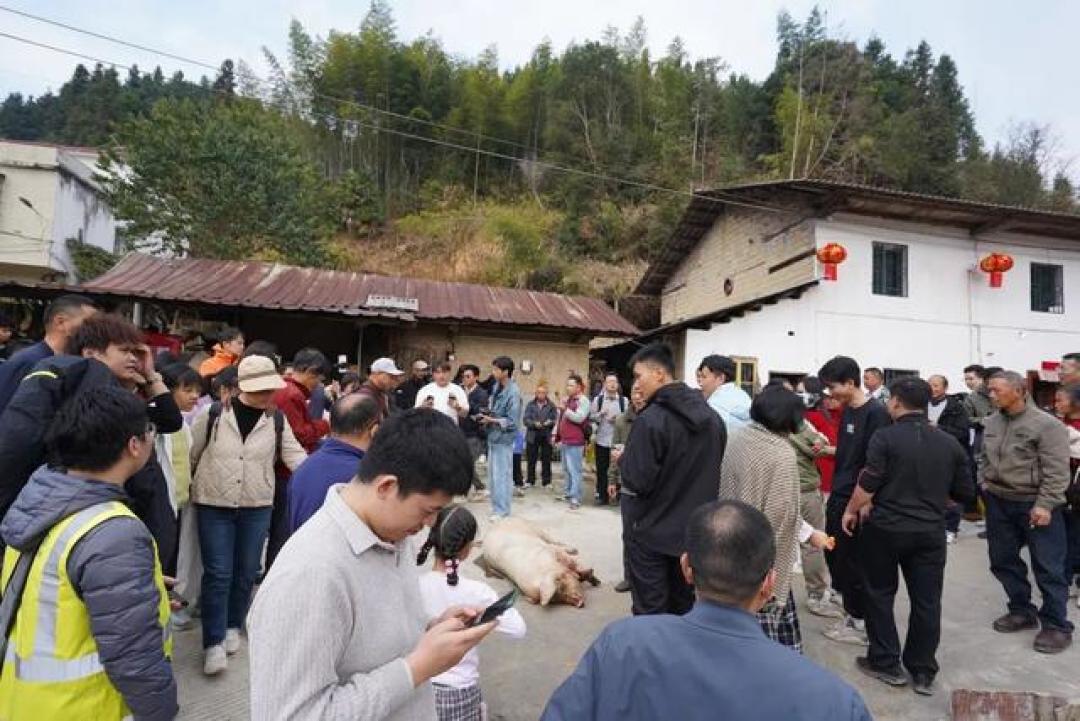 乐昌杀猪宴火了！1500多人赶赴这场“乡土盛宴”
