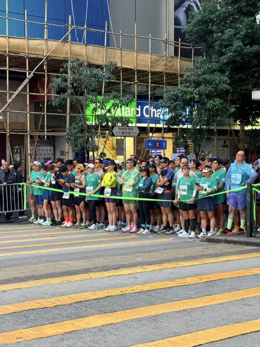 随拍香港渣马!过来认领自己!