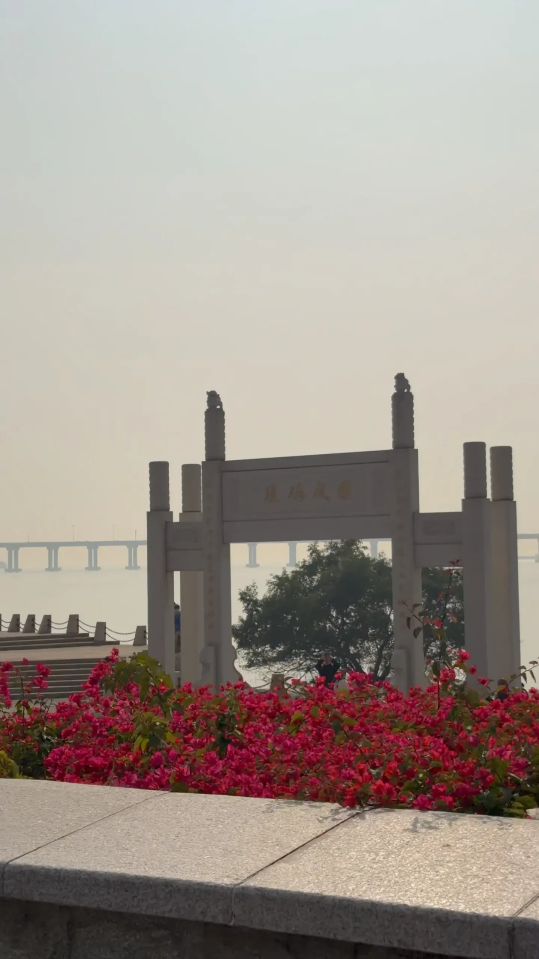 深圳宝藏骑行路线‖深圳也有自己的珠江大桥