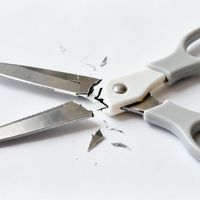 张小泉剪刀剪鲜鱼手柄断裂引热议，用户真实反馈全景呈现