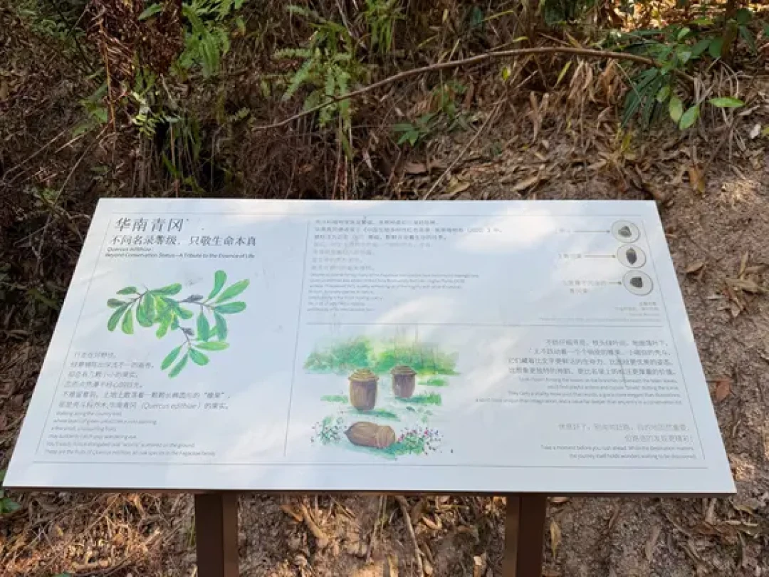 龙岗新开7KM亲子郊野径，原生态自然美学探秘