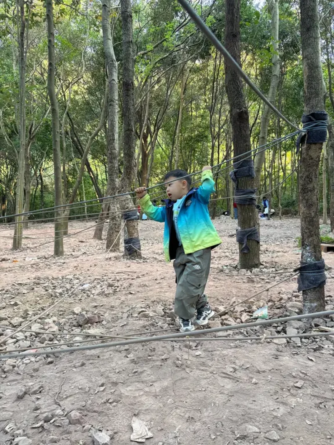 龙岗新开7KM亲子郊野径，原生态自然美学探秘