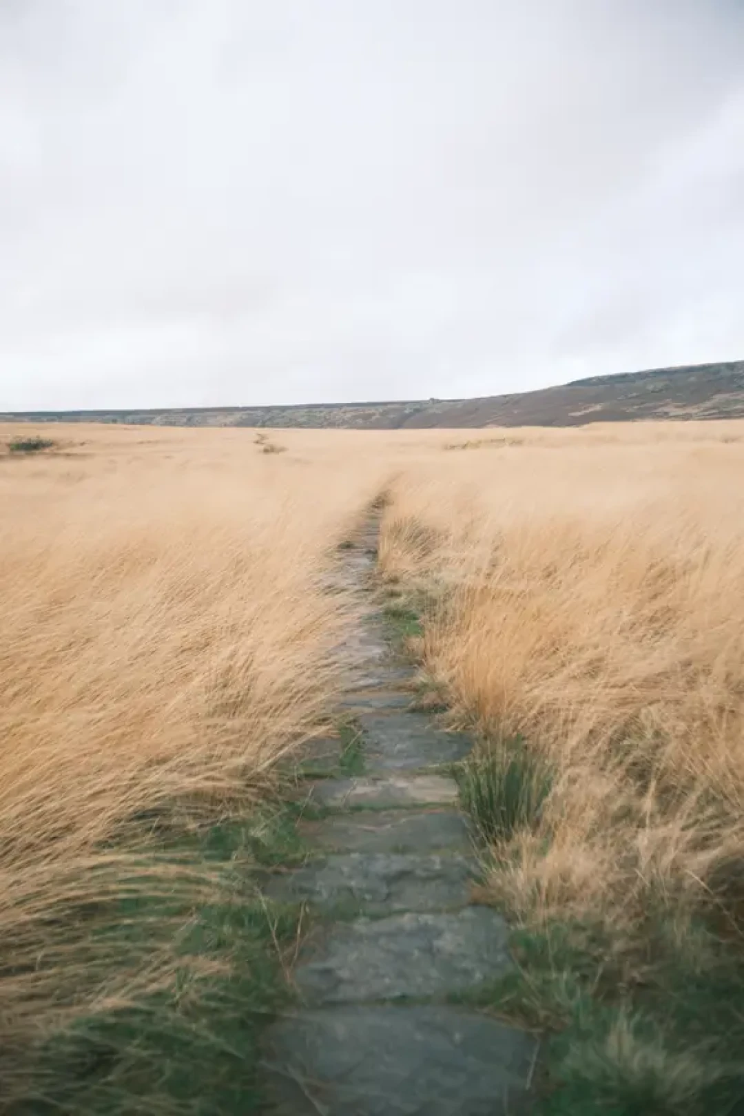 🌰Marsden Moor-穿越5,500英亩荒原