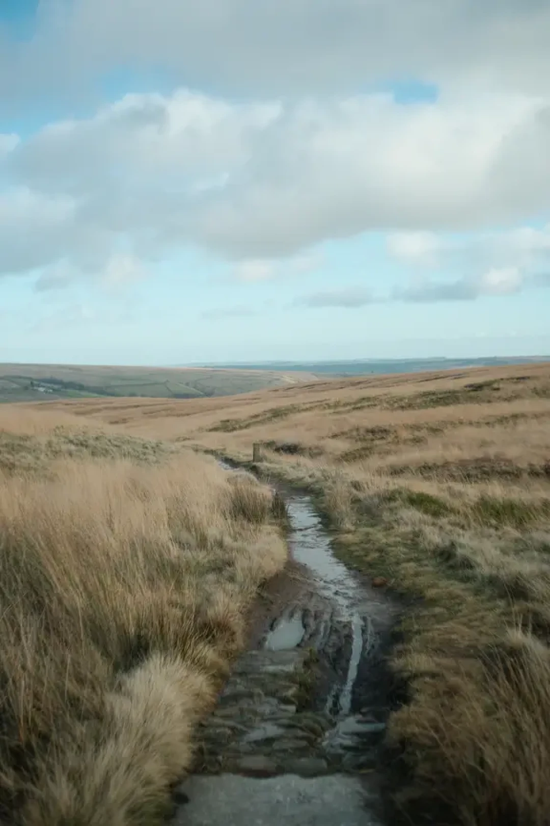 🌰Marsden Moor-穿越5,500英亩荒原